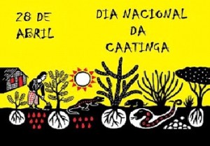 dia caatinga