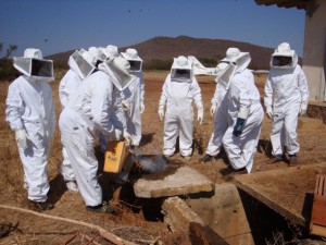 Curso Apicultura Sento Sé_640x480