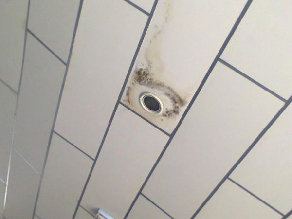 biblioteca petrolina