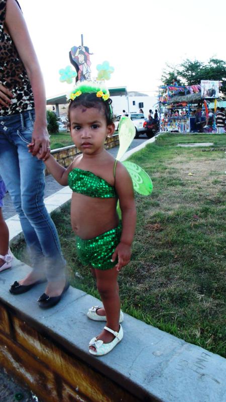 FOLIÃ SALGUEIRO_450x799