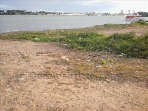 velho chico degradado