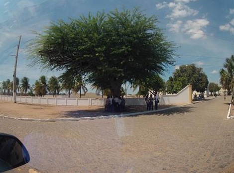 Podas árvore Polícia Militar