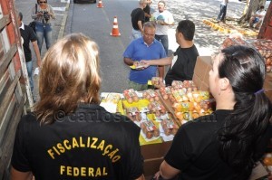 fiscais agropecuários