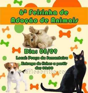 Feirinha de adoção