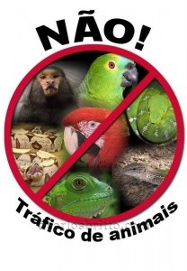 Tráfico-de-Animais