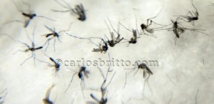 d41ec05faa36299d740371228ba07f07