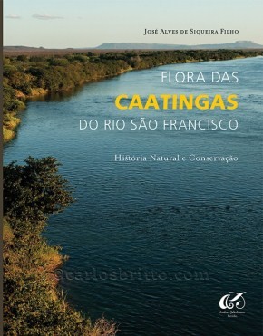 flora_caatinga