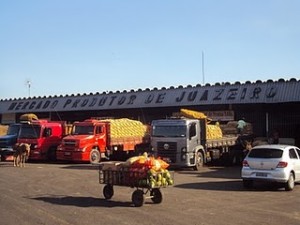 mercadodoprodutorjua