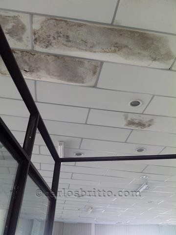 biblioteca petrolina 2_360x480