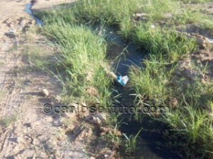 esgoto Parque Massangano