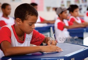 rede municipal salgueiro