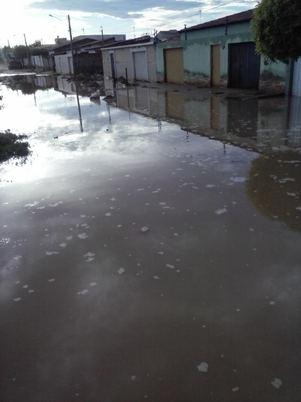 1609737_10152334239159168_1585070815_n