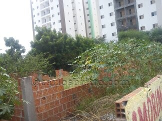 Patricia mangabeira 2866