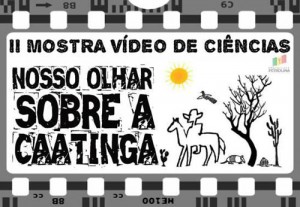 mostra de vídeo