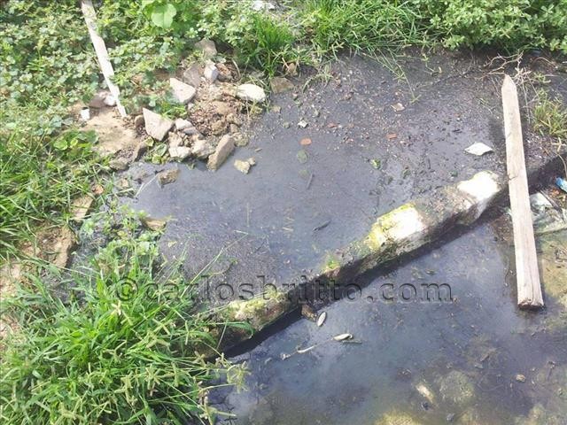 problemas vale dourado