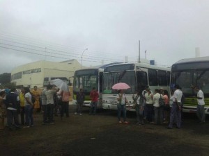 greve viva petrolina_640x480