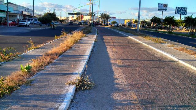 mato avenida monsenhor ângelo_640x360