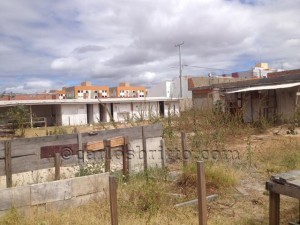 ame abandonada2_640x480