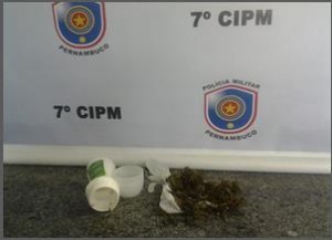 maconha apreendida