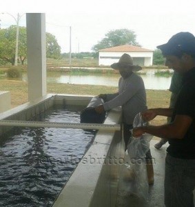 10609071_686924381384471_747387527_n