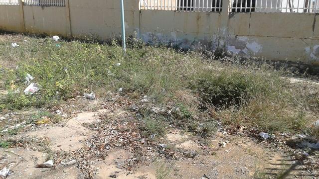 IMG-20140917-WA0003 (Copy)