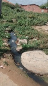 IMG_20150320_084046575