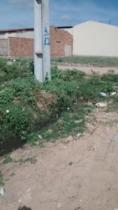 IMG_20150320_084124360