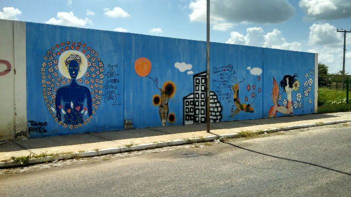 muro compesa (2) 2