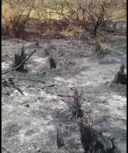 local queimado distrito industrial