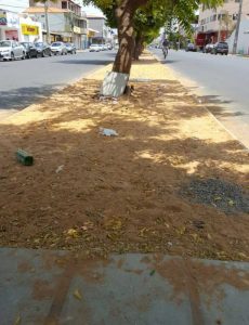 revitalizacao-avenida-sao-francisco