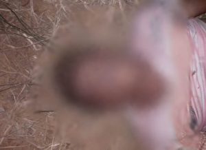 acidente-br235-jardim-primavera