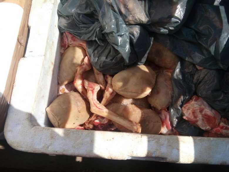carne-apreendida-petrolina2