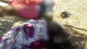 duplo-assassinato-orla-petrolina