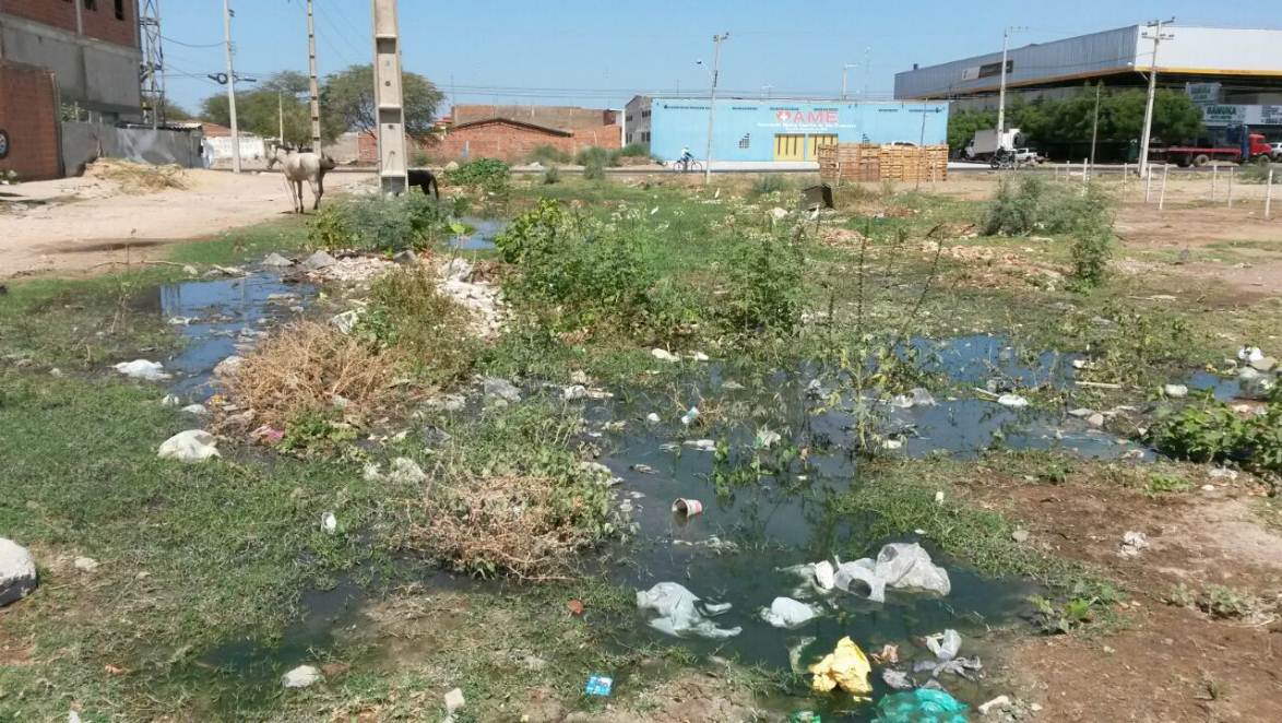 esgoto-e-lixo-palhinhas