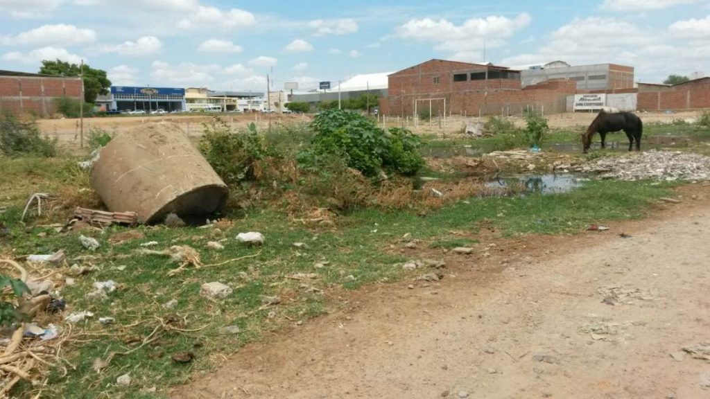 esgoto-e-lixo-palhinhas2