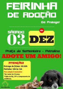 feirinha-adocao