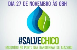 salve-chico