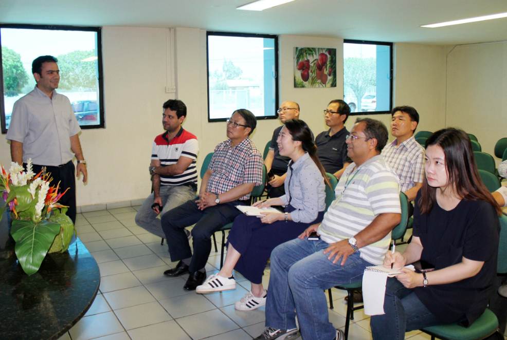 sul-coreanos-petrolina