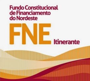 fne