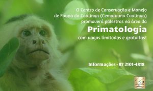 primatologia