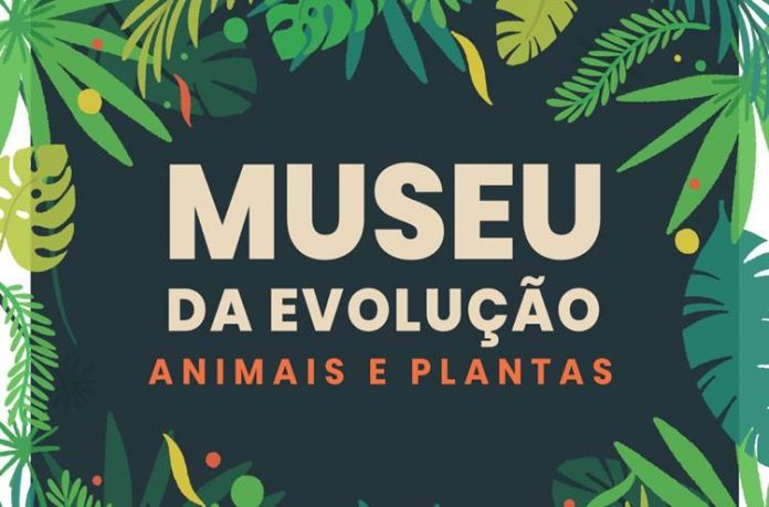 museu evolução