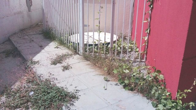 alto2