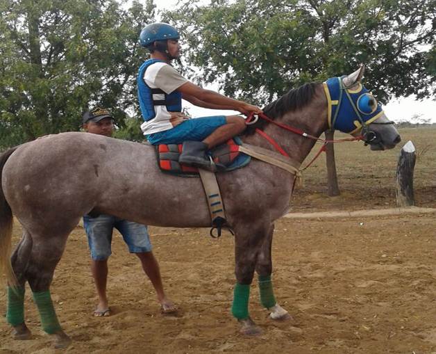 como baixar o sportingbet no iphone