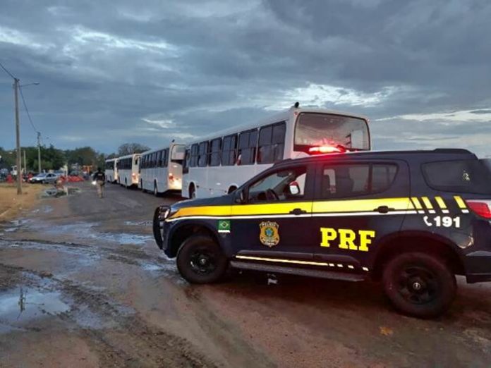 onibus apreendidos salgueiro