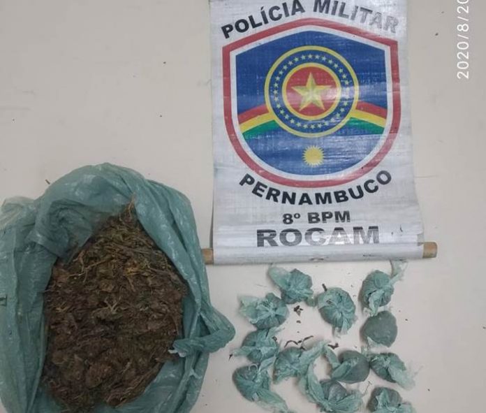 maconha apreendida salgueiro