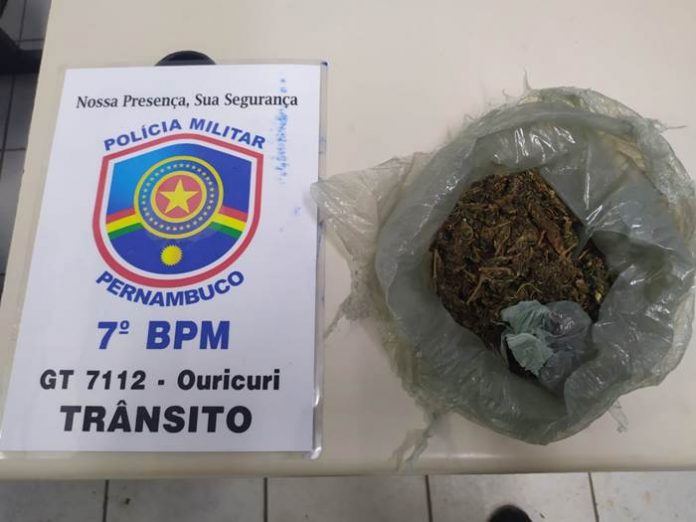 maconha apreedida Ouricuri