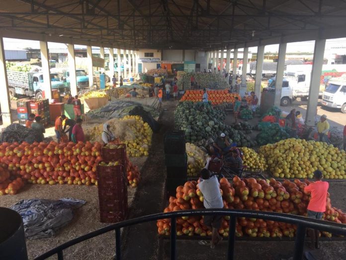 mercado do produtor de juazeiro