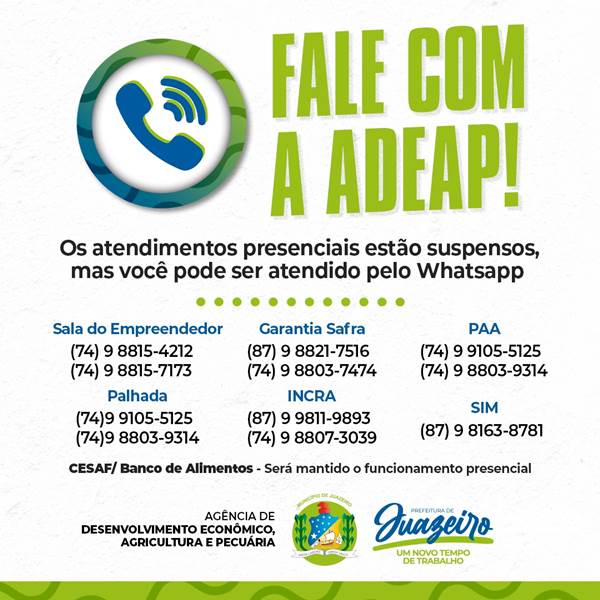 ATENDIMENTO REMOTO - ADEAP
