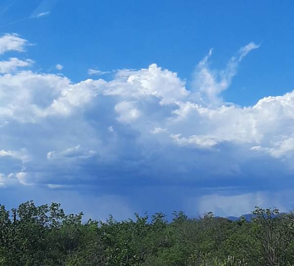 céu do sertão