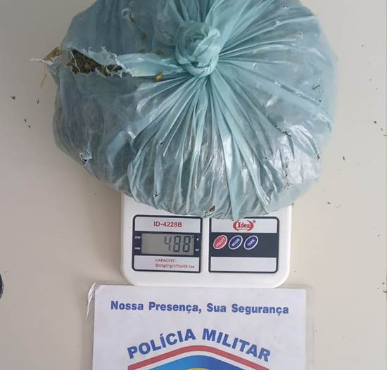 maconha apreendida ouricuri 7º BPM